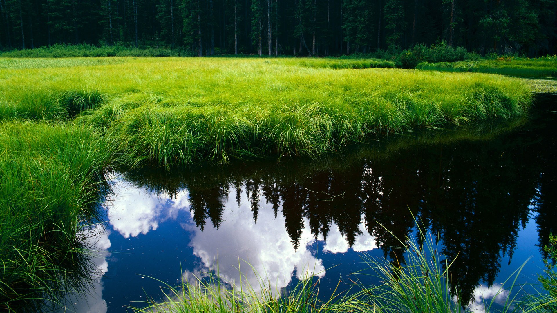 开云入口-“篮球校园巡讲”青少年科普讲座在青海全面铺开,弘扬体育文化