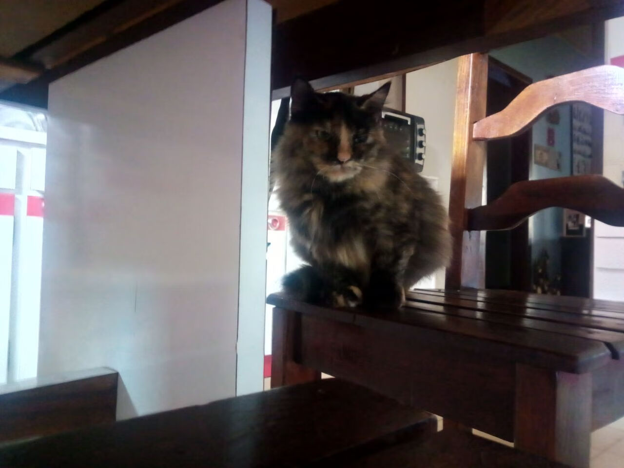 开云APP-《CS_GO全球巡回赛，G2战队连续三站夺冠》，g2战队csgo现役成员2021