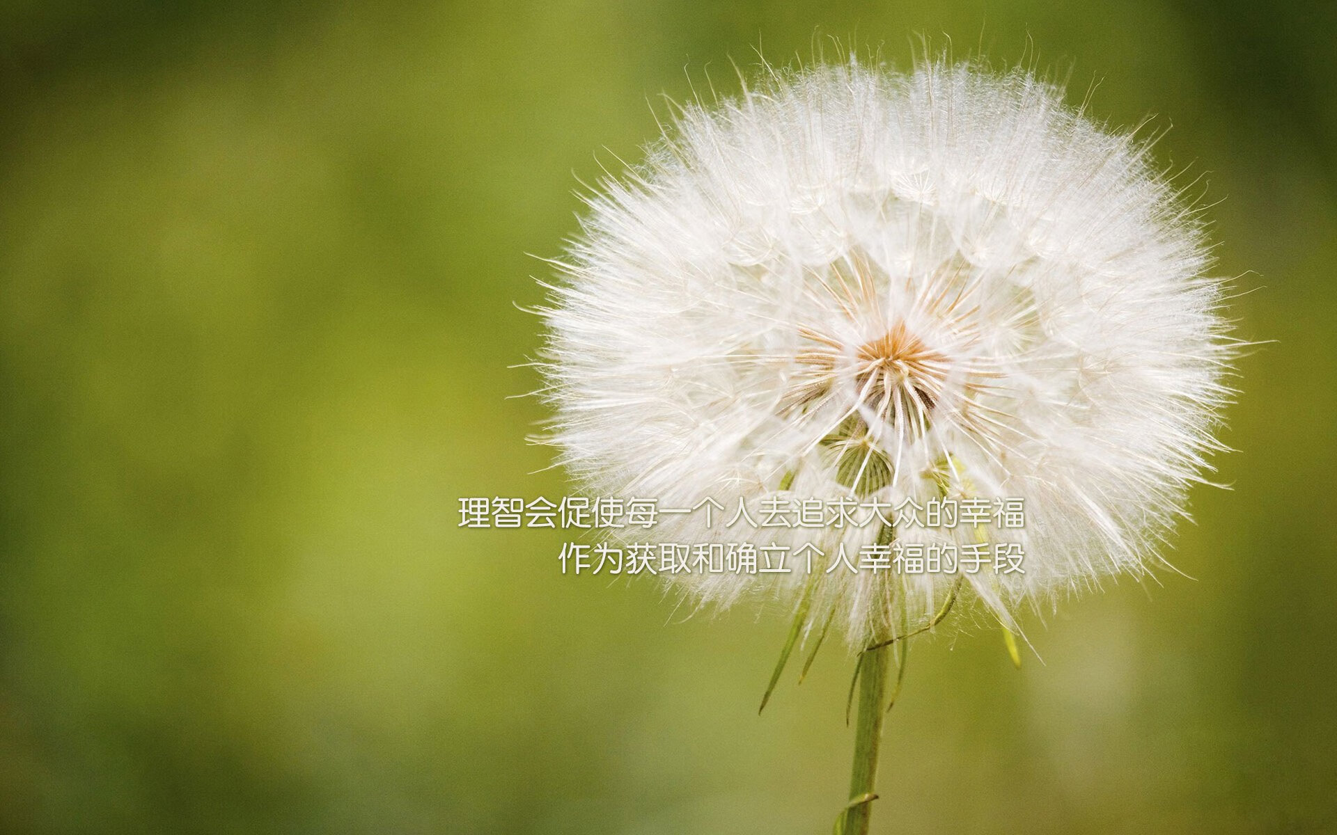 开云下载-《顶级战队背后的故事:他们的训练与战术哲学》,战队顶级猎杀