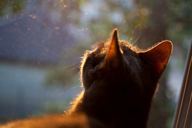 Kaiyun(中国)开云-国足队内开展心理沙龙，增强信心，足球心理