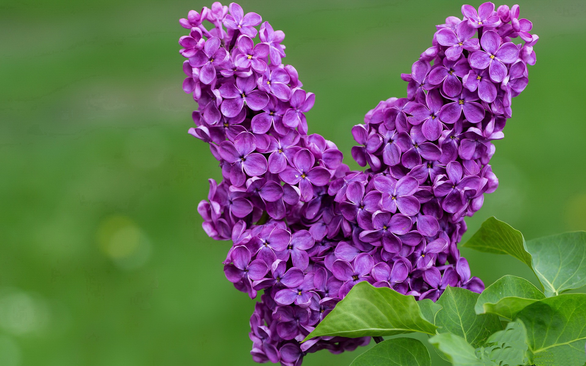 详细阅读:开云·体育官网APP下载-女足比赛项目举办盛大,全球关注焦点,女足比赛现场 开云·体育官网APP下载-女足比赛项目举办盛大,全球关注焦点,女足比赛现场