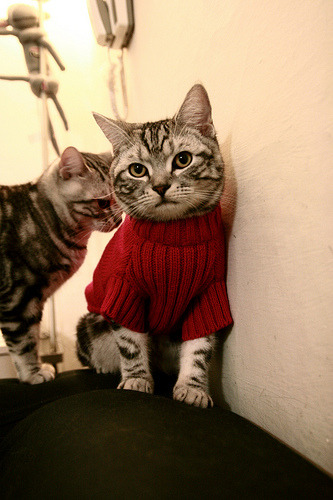 开云-幸运队球员个个状态爆棚，共同打造胜利，幸运星足球队俱乐部