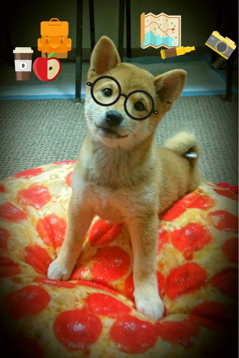 开云体育在线赛事直播-沃特福德客场不敌，降级危机挥手，沃特福德中场