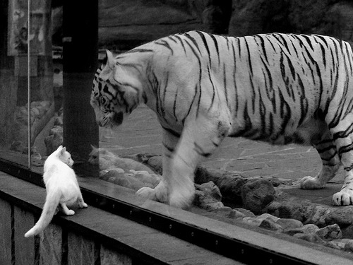 开云·体育全站登录地址-激烈篮球季后赛抢七大战，篮球季后赛怎么打