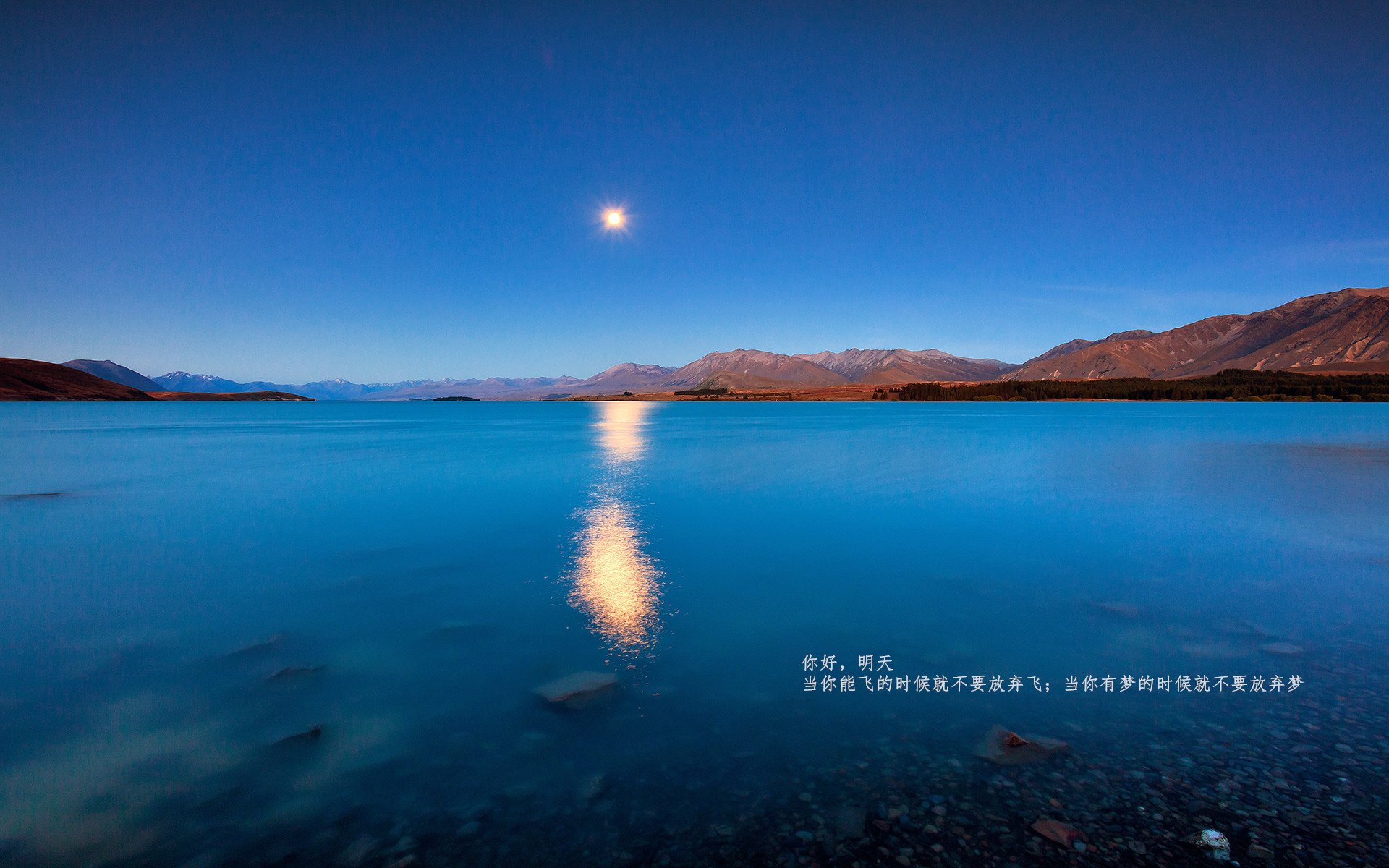 开云网页版-西班牙马术代表队在欧洲马术锦标赛中获得团体障碍赛银牌。，西班牙皇家马术学院官网