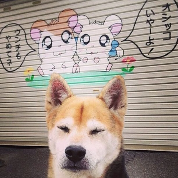 kaiyun开云·官方网站-雷恩中场传球失误频繁，战阵需重整，雷恩ds