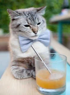 开云网页版登录入口-乌干达男篮在非洲预赛中努力拼搏，迈向全球舞台，乌干达国家男子足球队